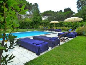 Villa Ronchi : Swimming pool