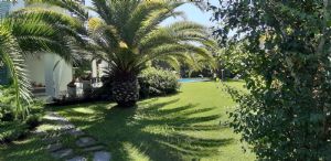 Villa Simpatica  : Outside view
