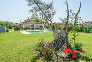 Villa Italia : Вид снаружи