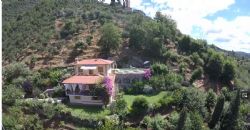 Villa Charme Toscana  : villa singola in affitto e vendita  Camaiore