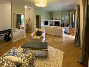 Villa Tiziana : Lounge