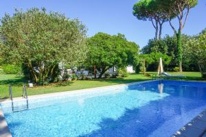 Villa Stone  : Swimming pool