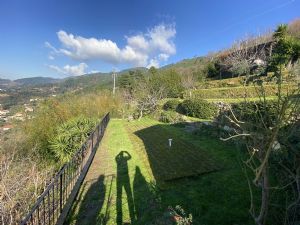 Villa  Fantastica  : Outside view