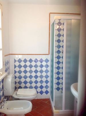 Villa dei Platani : Ванная комната с душем