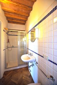 Rustico Pietrasanta    : Bathroom with shower
