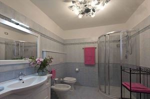 Villa Vineyard  2 : Ванная комната с душем