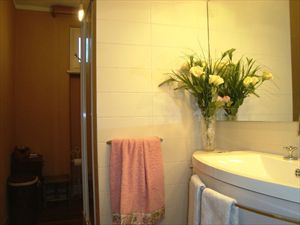 Appartamento Alice : Bathroom with shower