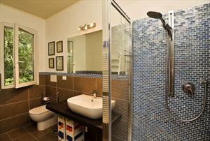 Villa Salvia  : Ванная комната с душем