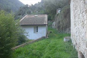Villa Cipollini : Outside view