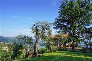 Villa Panoramica : Outside view