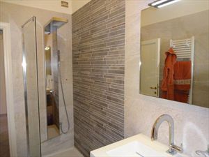 Villa degli Angeli : Ванная комната с душем