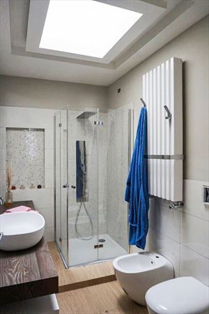 Villa Betulla : Bathroom with shower