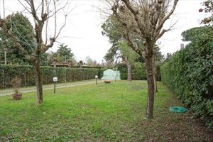Villa Lionella : Outside view