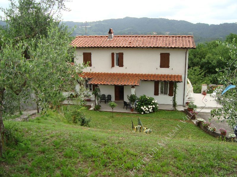Villa Evelin Semi detached villa  to rent  Camaiore