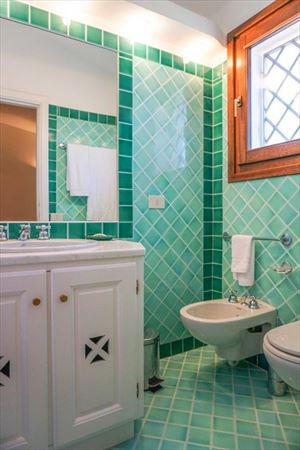 Villa Porto Cervo : Bathroom with shower