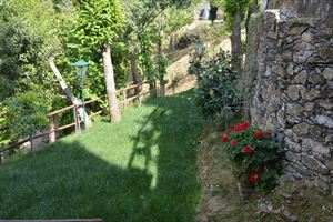 Villa Capriglia : Vista esterna