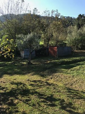 villetta    Camaiore    con parco  : Outside view