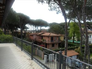 Appartamento Attico Nord : apartment to rent  Forte dei Marmi