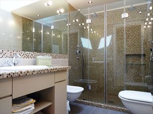 Villa Cactus : Bathroom with shower