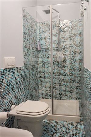 Villa Carolina : Bathroom with shower
