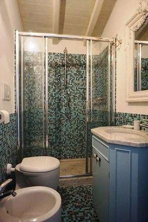 Villa Desiree : Bathroom with shower