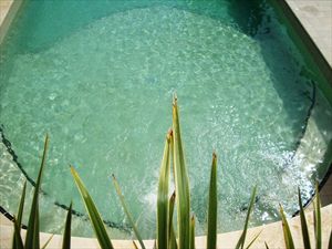 Villa Mirella  : Swimming pool