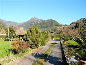 Villa al Sole : Outside view